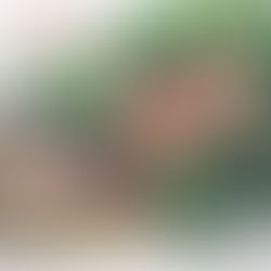 Envolturas creativas