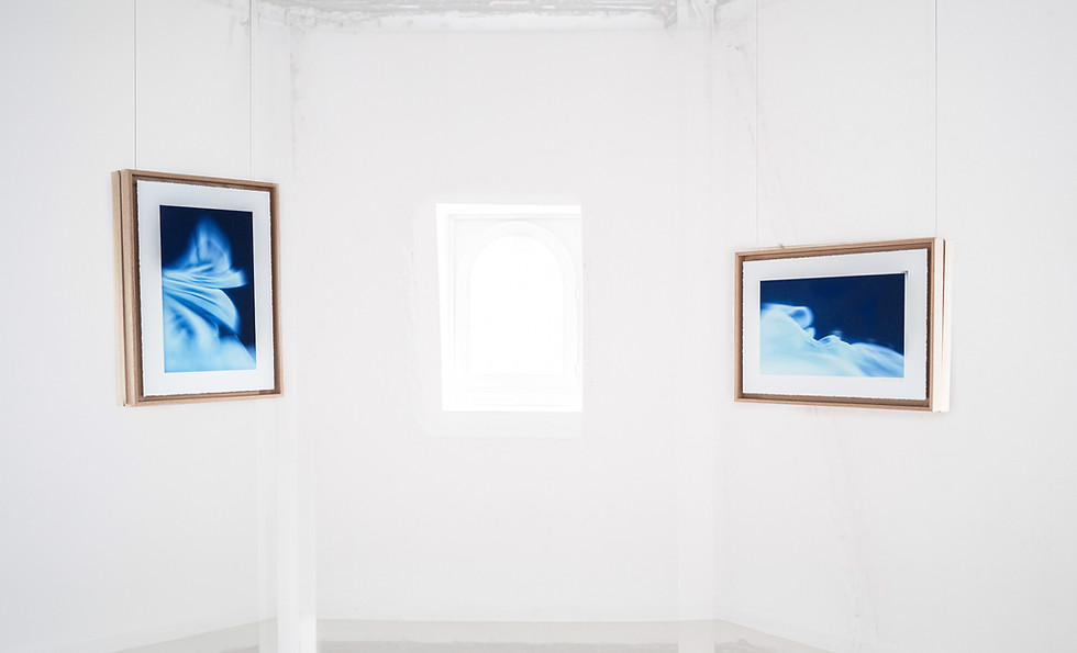 DYNAMIC SYSTEMS - EXHIBITION VIEW.jpg