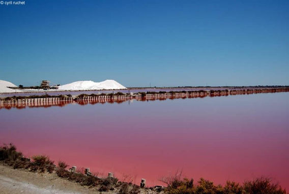 02-marais-salants-aigues-mortes.jpg