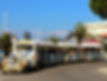 1000025327_edited.jpg