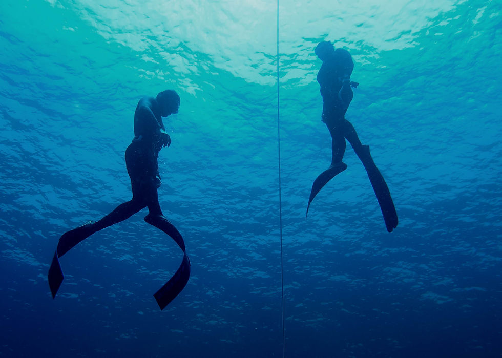 FREE DIVING LEVEL 1