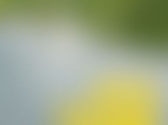 Visual des Films Unter Pflanzen