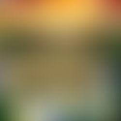 Visuel de Projet Kardendorf