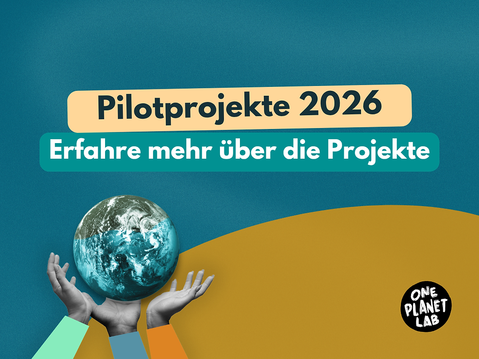 Suffizienz in der Schweiz: Diese Pilotprojekte zeigen, wie es geht