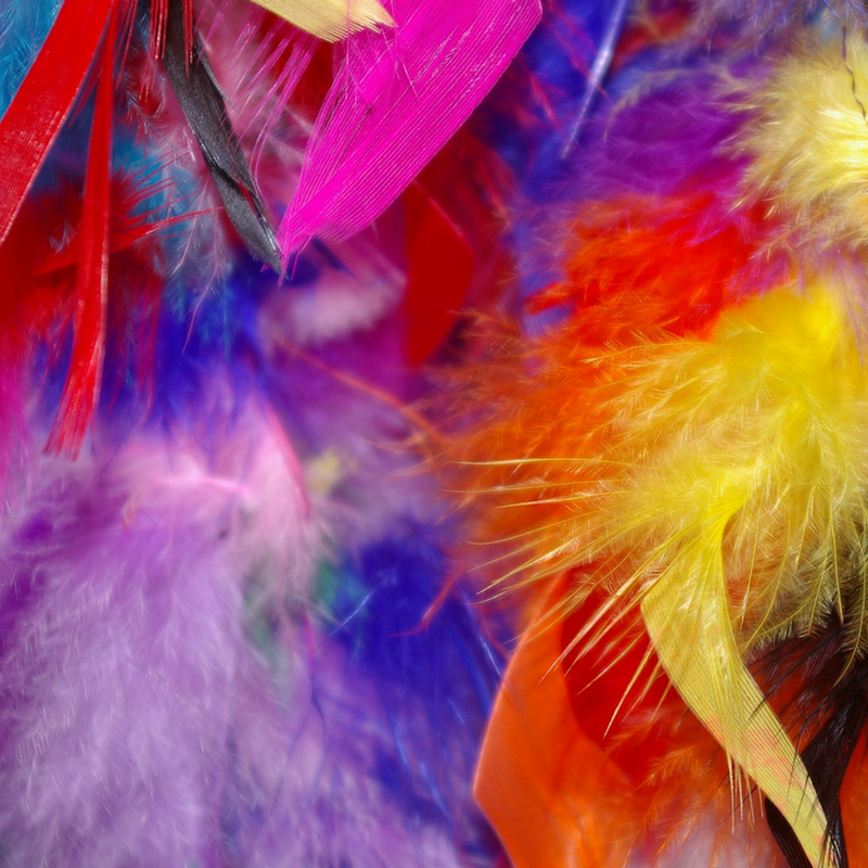 feathers yoga breath activity