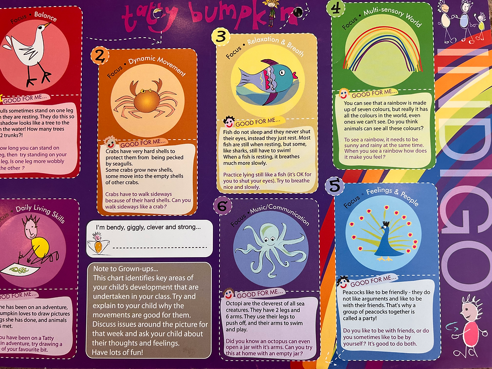 Thumbnail: Tatty Bumpkin Certificates (12 Pack)