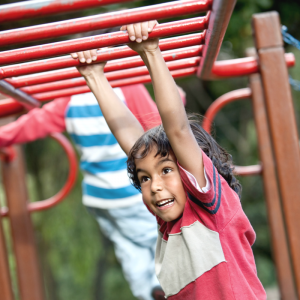 monkey bars