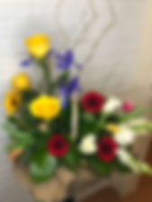 IMG_4765.jpeg