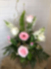 IMG_4763.jpeg