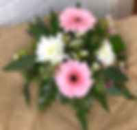 IMG_4820.jpeg