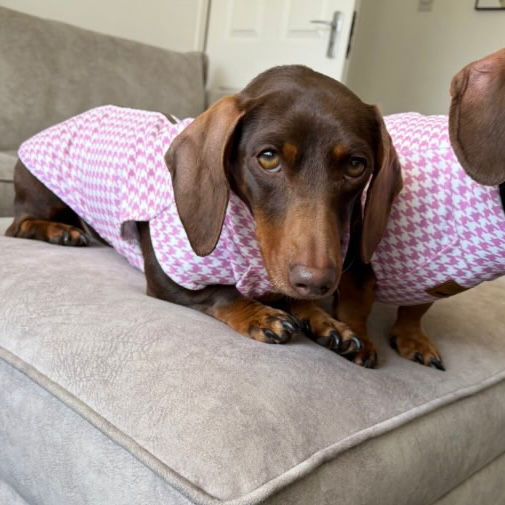 Miniatura: Pink Houndstooth Dachshund Fleece Jumper / Sweater | Sausage Dog Box