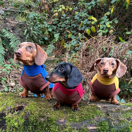 ダックスフンド置物　Running sausage christina uk DoxieDri Fleece | Sausage Dog Box