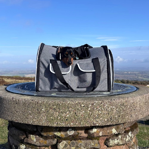 Sausage Dog Box Adventure Dachshund Backpack Carrier Airline