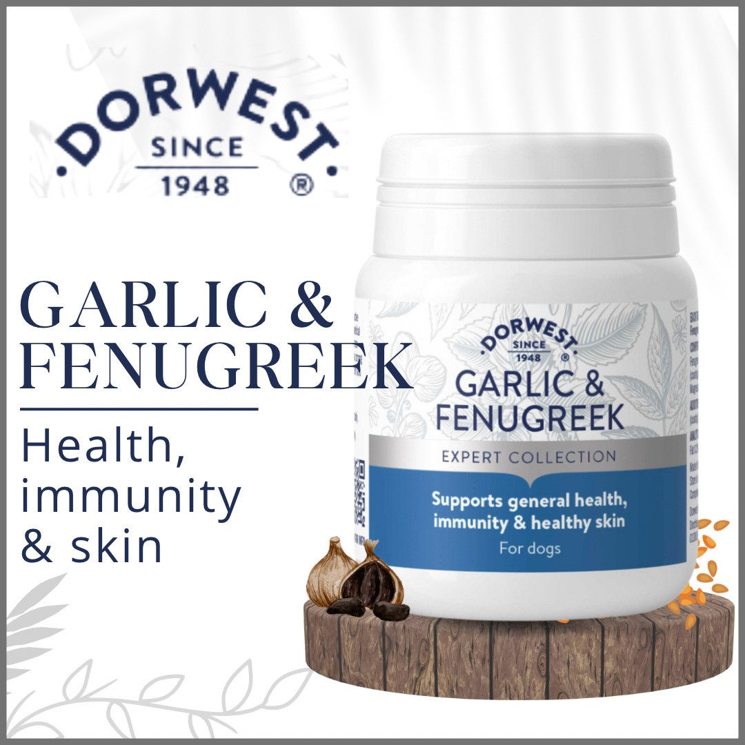Dorwest Garlic & Fenugreek Immunity Tablets Supplements For Dogs