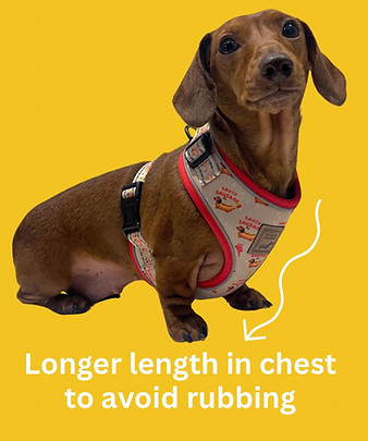 anti rub dachshund harness sausage dog walk hot dog weiner accessories