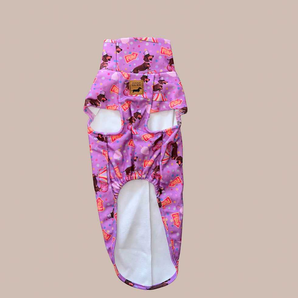 Thumbnail: Fun Floss Purple Circus Dachshund Fleece Jumper / Sweater | Sausage Dog Box