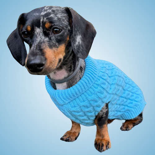 Frozen Blue Luxury Cable Knit Dachshund Jumper Sausage Dog