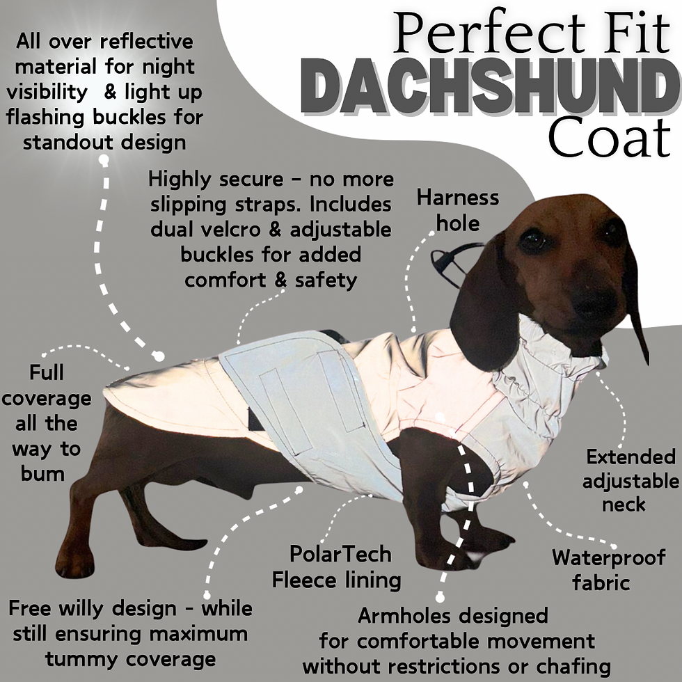 Miniatyrbild: Raincoat for dachshunds perfect fit