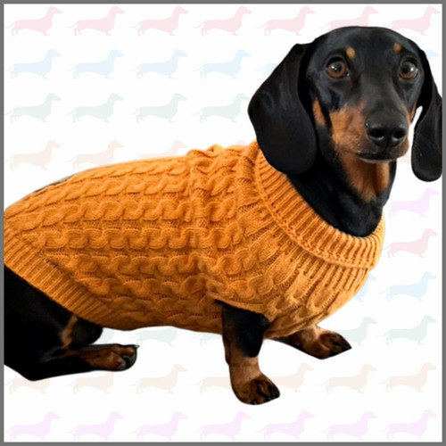 Sausage Dog Box Luxury Cable Knit Jumper MUSTARD Sausage Dog Box
