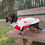 Миниатюра: Cupids Kiss Waterproof Dachshund Harness Fleece | Sausage Dog Box DoxieDri