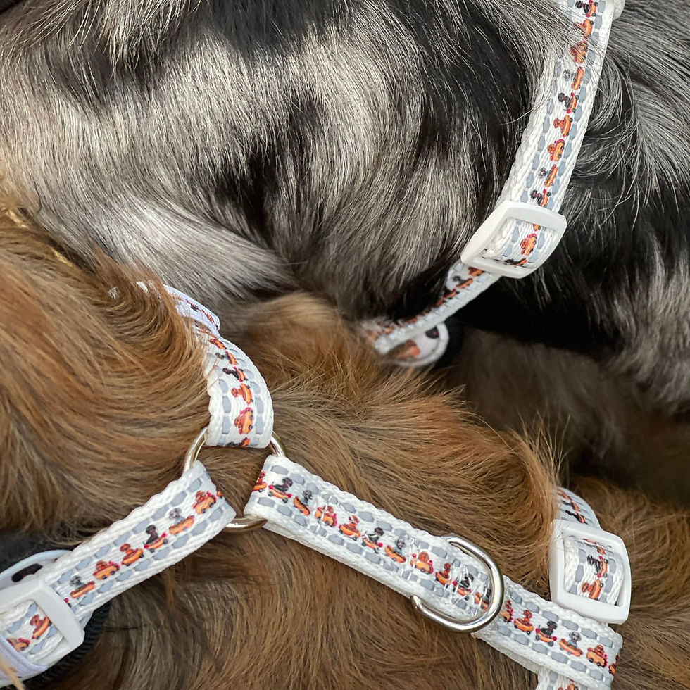 Minijatura: Anti-Rub Dachshund Harness - Weiner On Wheels