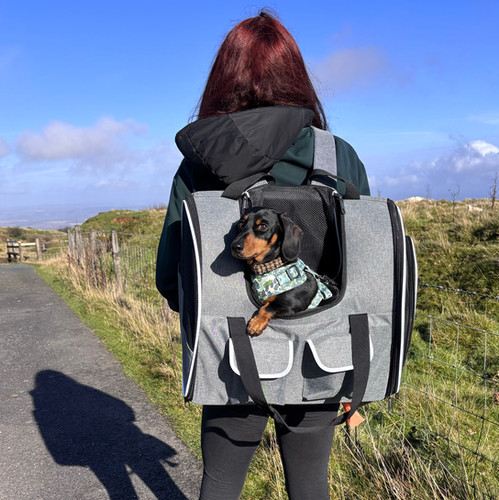 Sausage Dog Box Adventure Dachshund Backpack Carrier Airline