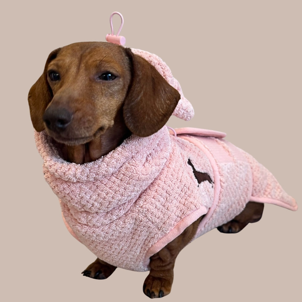 Thumbnail: Pink dressing gown robe for dachshunds