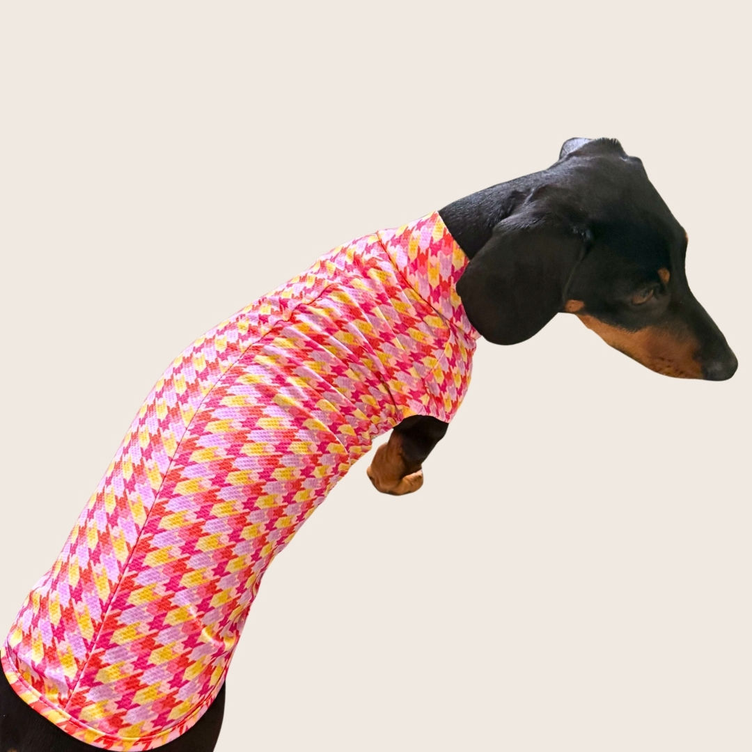 Tutti Frutti DoxieCool Dachshund Cooling Tee +30 Sun Protection