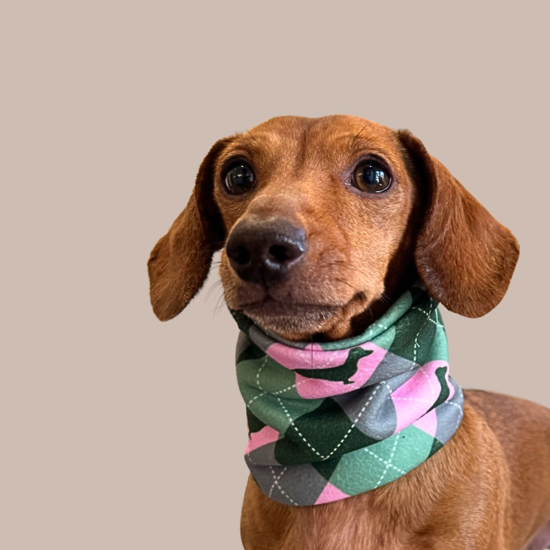 Pink and green dachshund snood neck warmer