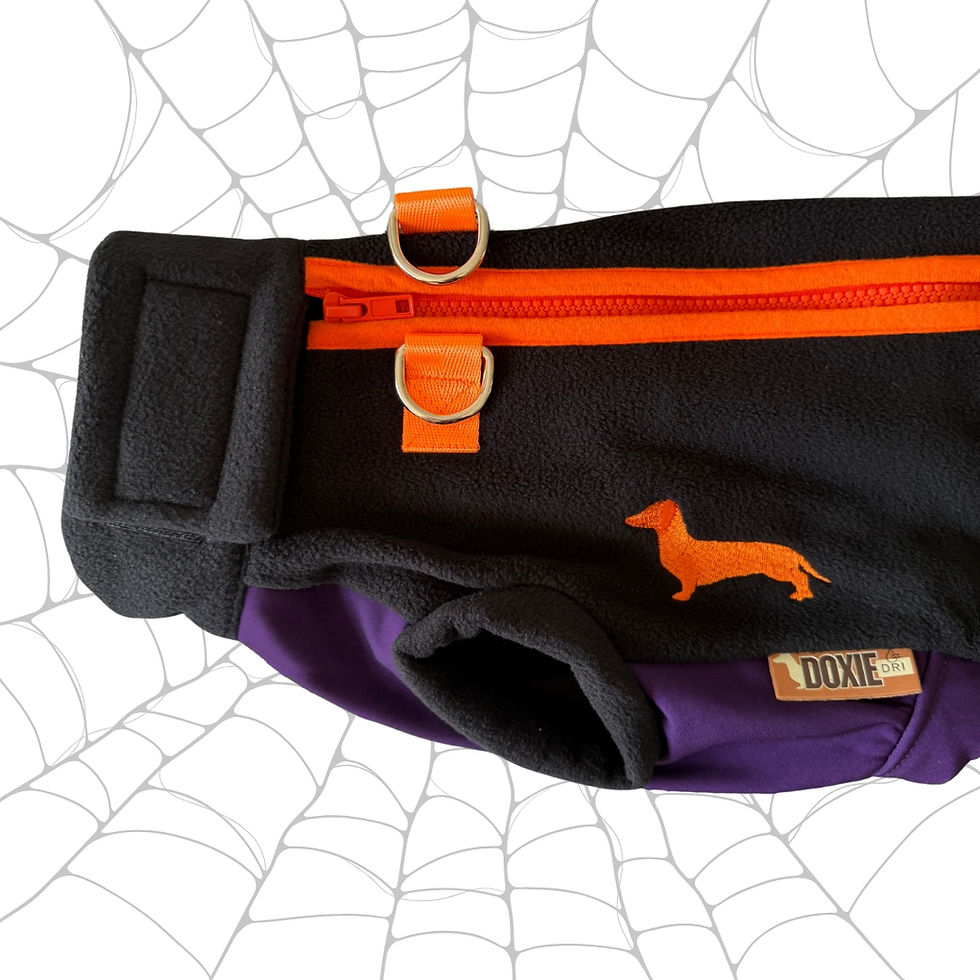 Thumbnail: Spiced Twilight Waterproof Dachshund Harness Fleece | Sausage Dog Box DoxieDri