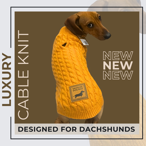 Honey Pie Luxury Cable Knit Dachshund Jumper Sausage Dog Box