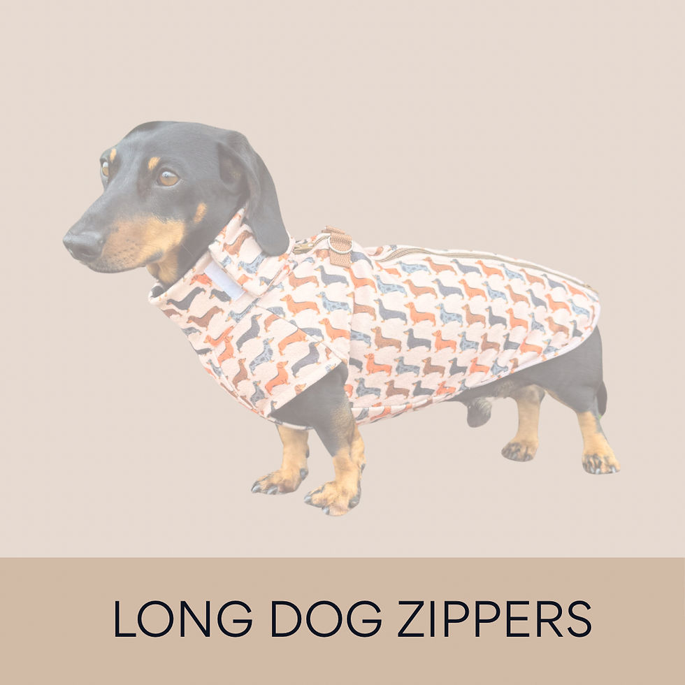 Best clothes for my dachshund - 88