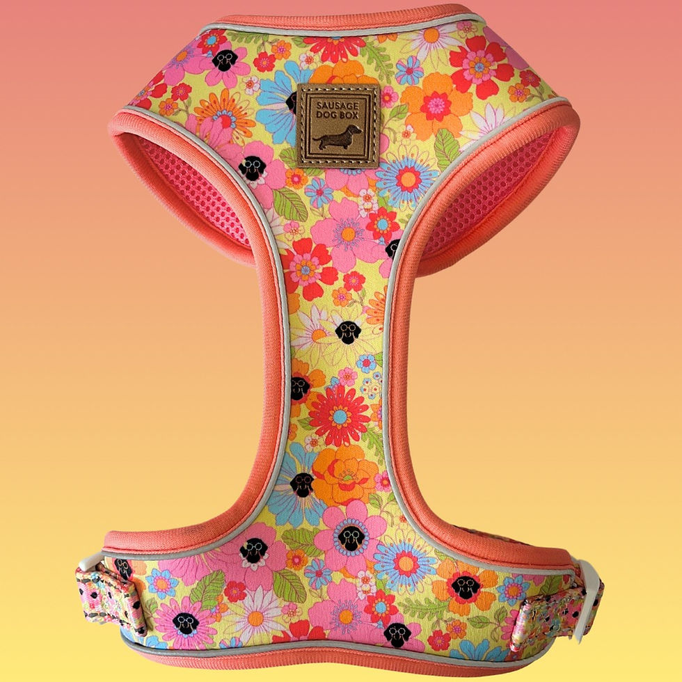 It's All Groovy Wiener Dog Harness