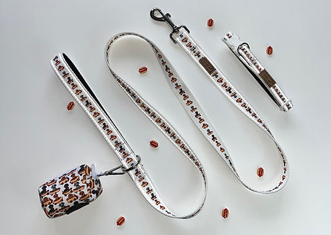 sausage dog box dachshund WALKING accsessories sausagedog walk meet up puppy first walk po