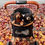 Μικρογραφία: Chocolate Waterproof Dachshund Harness Fleece | DoxieDri by Sausage Dog Box