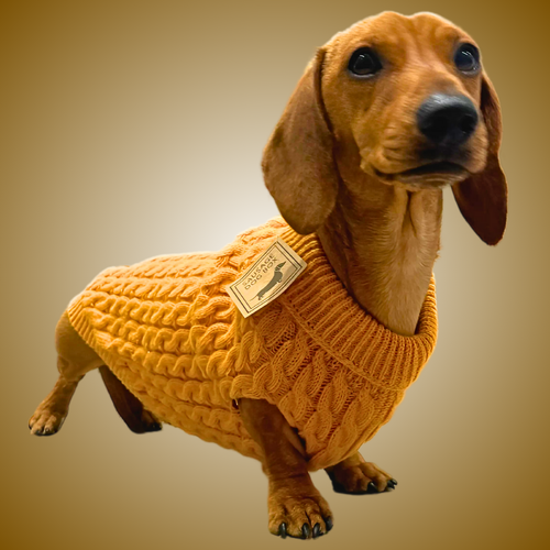 Honey Pie Luxury Cable Knit Dachshund Jumper Sausage Dog Box