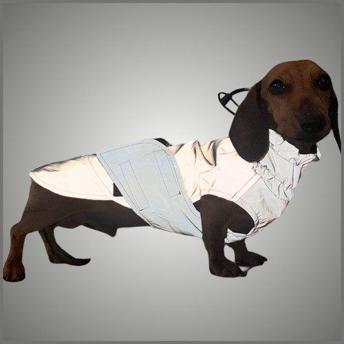 Sausage Dog Coat Glow Getter Reflective LED Coat For Dachshunds