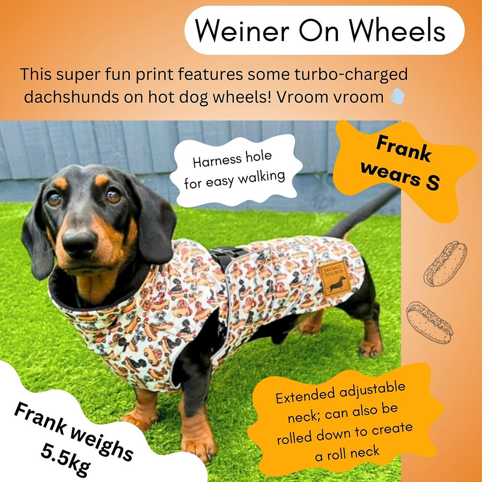 Миниатюра: Weiner On Wheels Polartec Waterproof Dachshund Coat - Sausage Dog Box