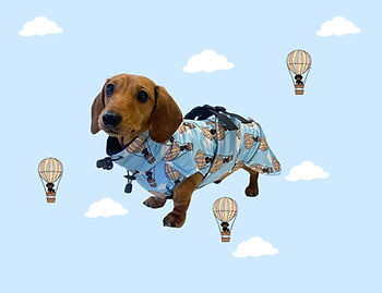 Blue Dachshund Rain Coat