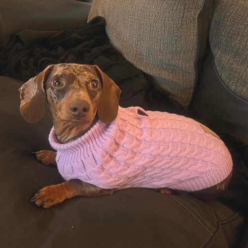 Knitted Jumper Christmas Dachshund Jumper Sausage Dog Christmas