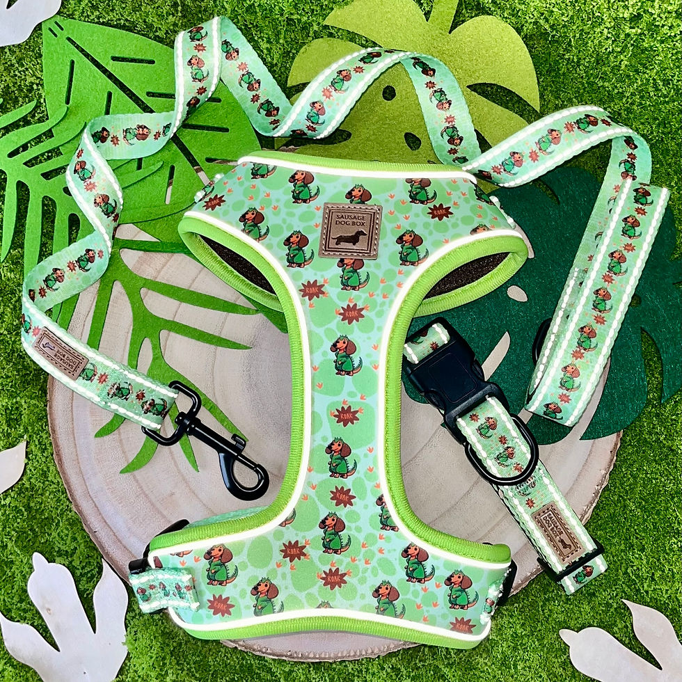 Thumbnail: Weenie-Saurus Anti-Rub Dachshund Harness