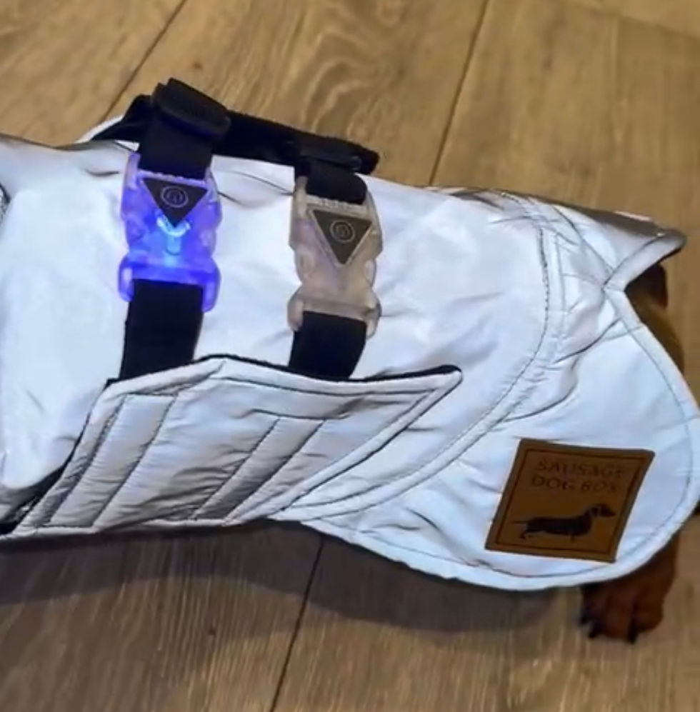 サムネイル： Luxury coat for dachshunds / sausage dogs / dackel / teckel / wiener dog