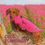 Miniatiūra: Coco Flamingo Waterproof Dachshund Harness Fleece | DoxieDri Step-In Jumper