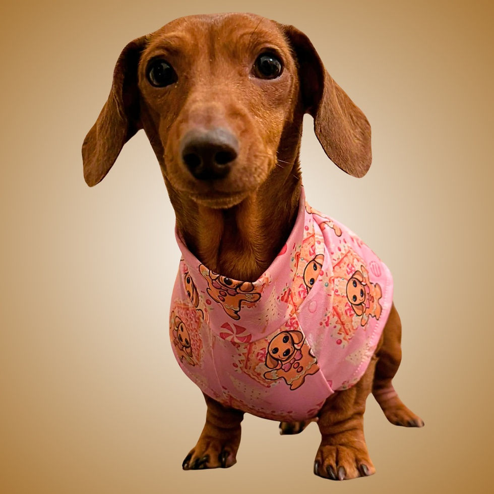 Miniatúra: Pink Dachshund Christmas Second Skin Tee - ‘Dashin’ Through The Dough’