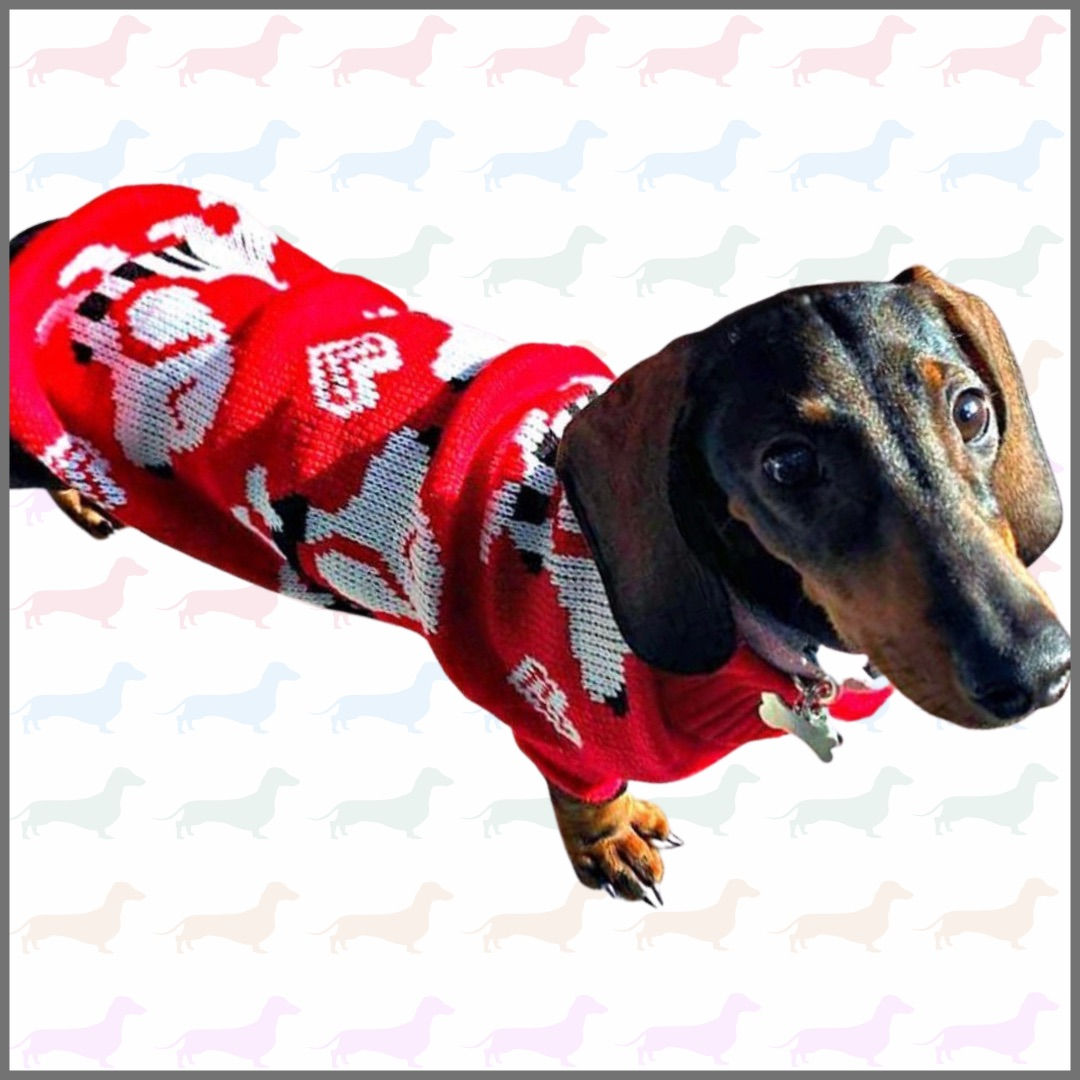 Sausage Dog Box Dachshund Red Dachshund Dog Jumper - Sausage Love