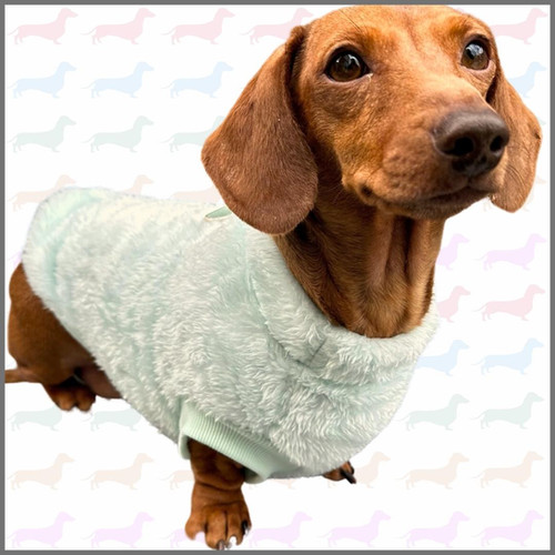 Sausage Dog Box Dachshund Snuggle Fleece Mint Green Sausage Dog Box