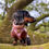 Thumbnail: Pink Sophisticated Sausage Dachshund Anti-Rub Harness