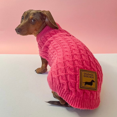 Sausage Dog Christmas Jumper New Look Dog Jumper Raspberry Ripple
