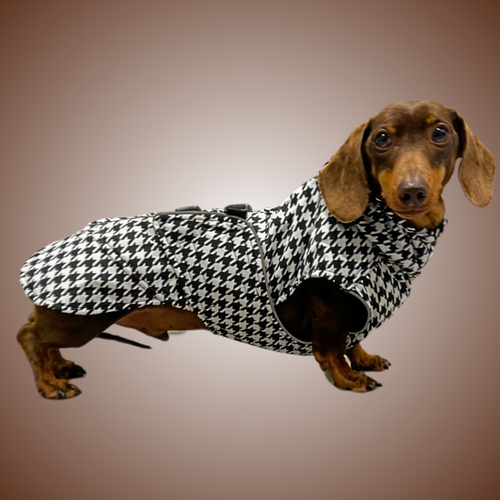 Dachshund Female Dog Winter Coats Sausage Dog Box Perfect Fit
