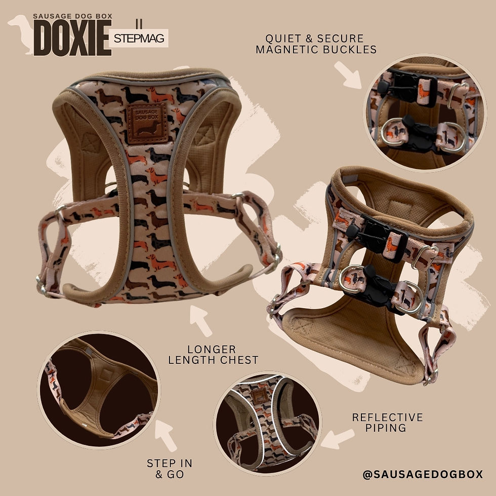 Thumbnail: Doxie StepMag Step-in Magnetic Dachshund Harness - Sophisticated Sausage